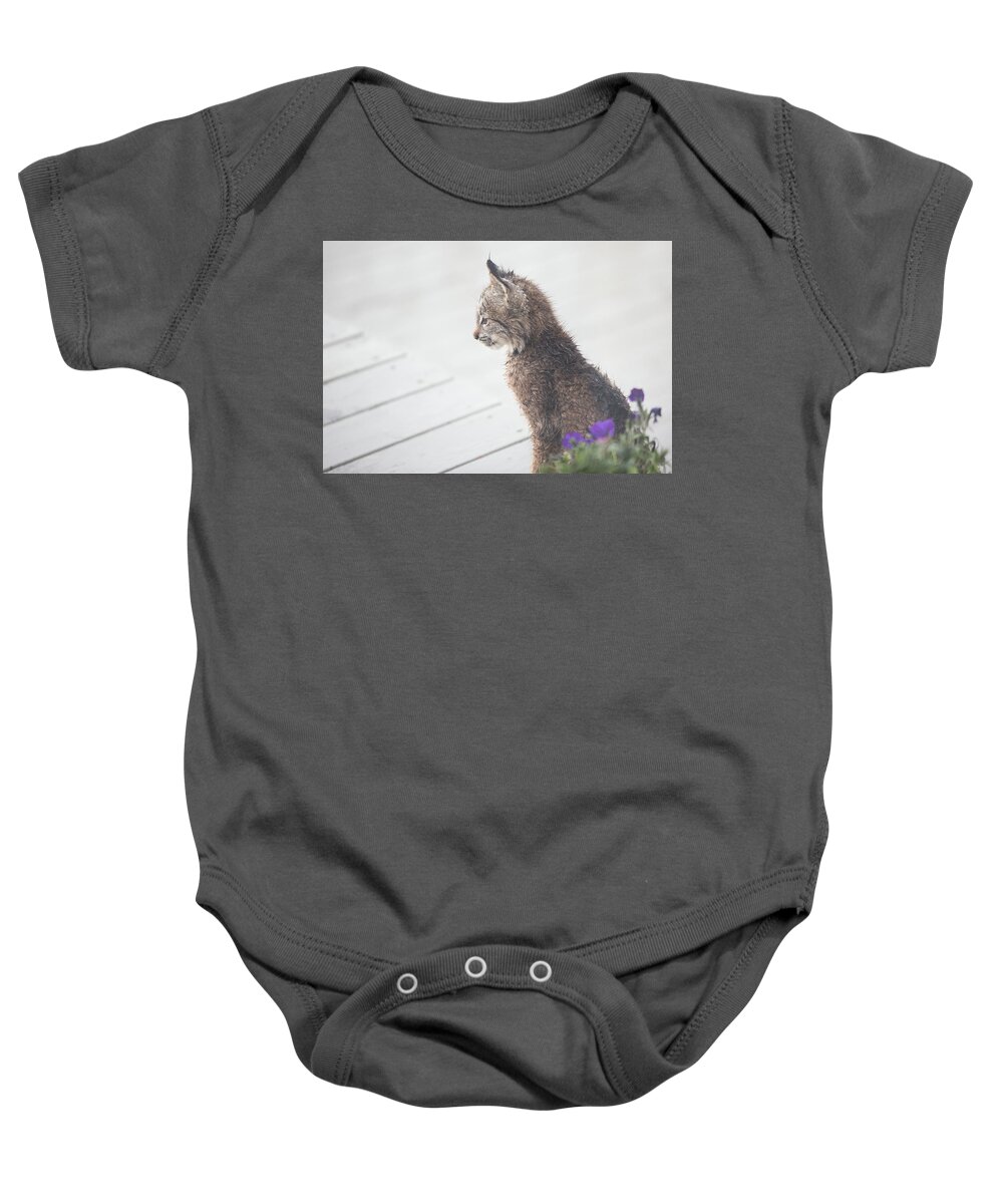 Lynx Baby Onesie featuring the photograph Profile In Kitten by Tim Newton