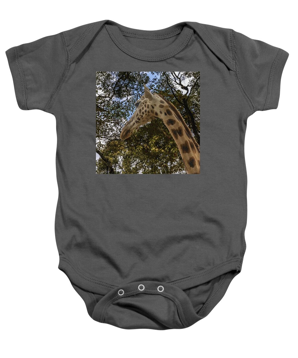 Africa Baby Onesie featuring the photograph Profile of a Giraffe by Laura Hedien