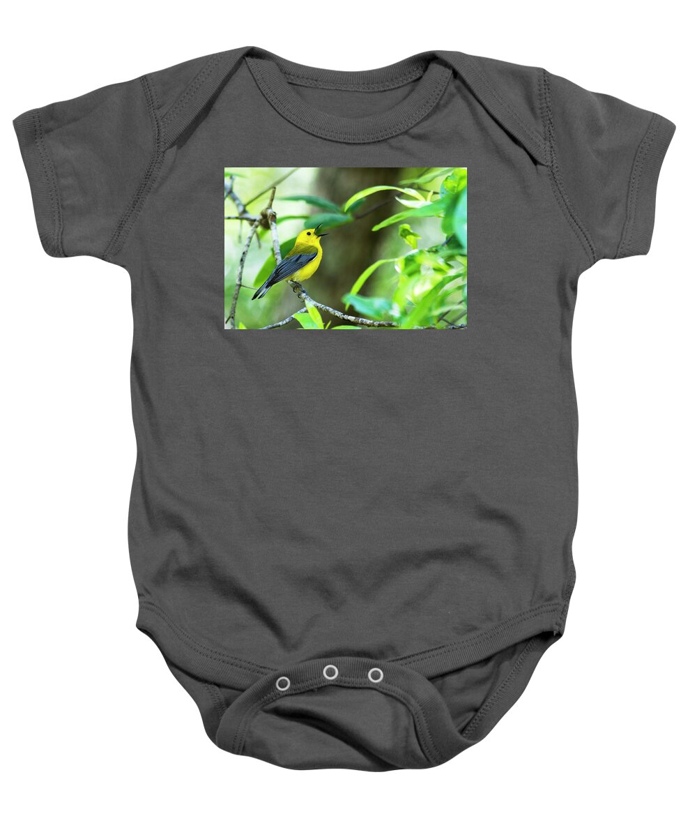 Bird Baby Onesie featuring the photograph Prothonotary Warbler 1 by Bob Decker