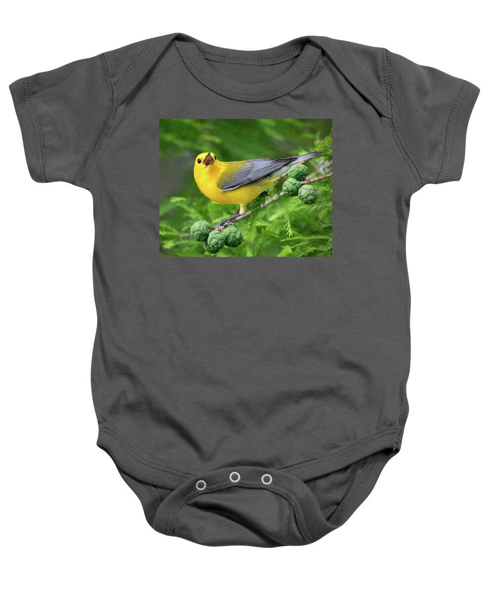  Baby Onesie featuring the photograph Prothonotary Warbler Singing by Jim Miller