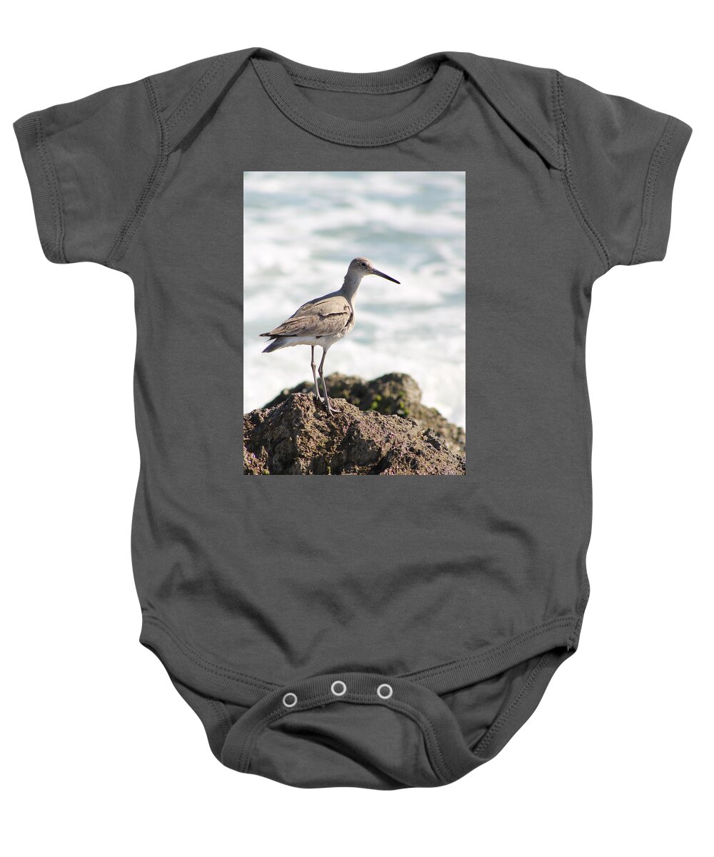 Willet Baby Onesie featuring the photograph Proud WIllet by Heather E Harman