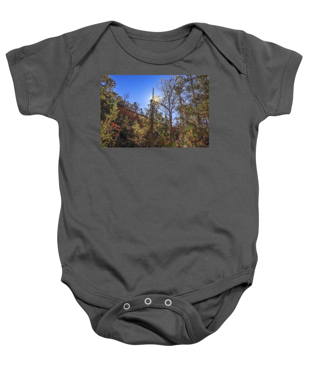 Providence Canyon State Park Baby Onesie featuring the photograph Providence Canyon From The Bottom by Ed Williams