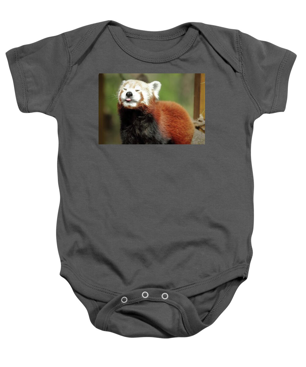 Red Panda Baby Onesie featuring the photograph Psssstttt by Lens Art Photography By Larry Trager