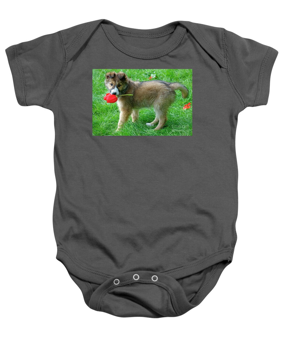 Pup Baby Onesie featuring the photograph Pup by Robert Douglas