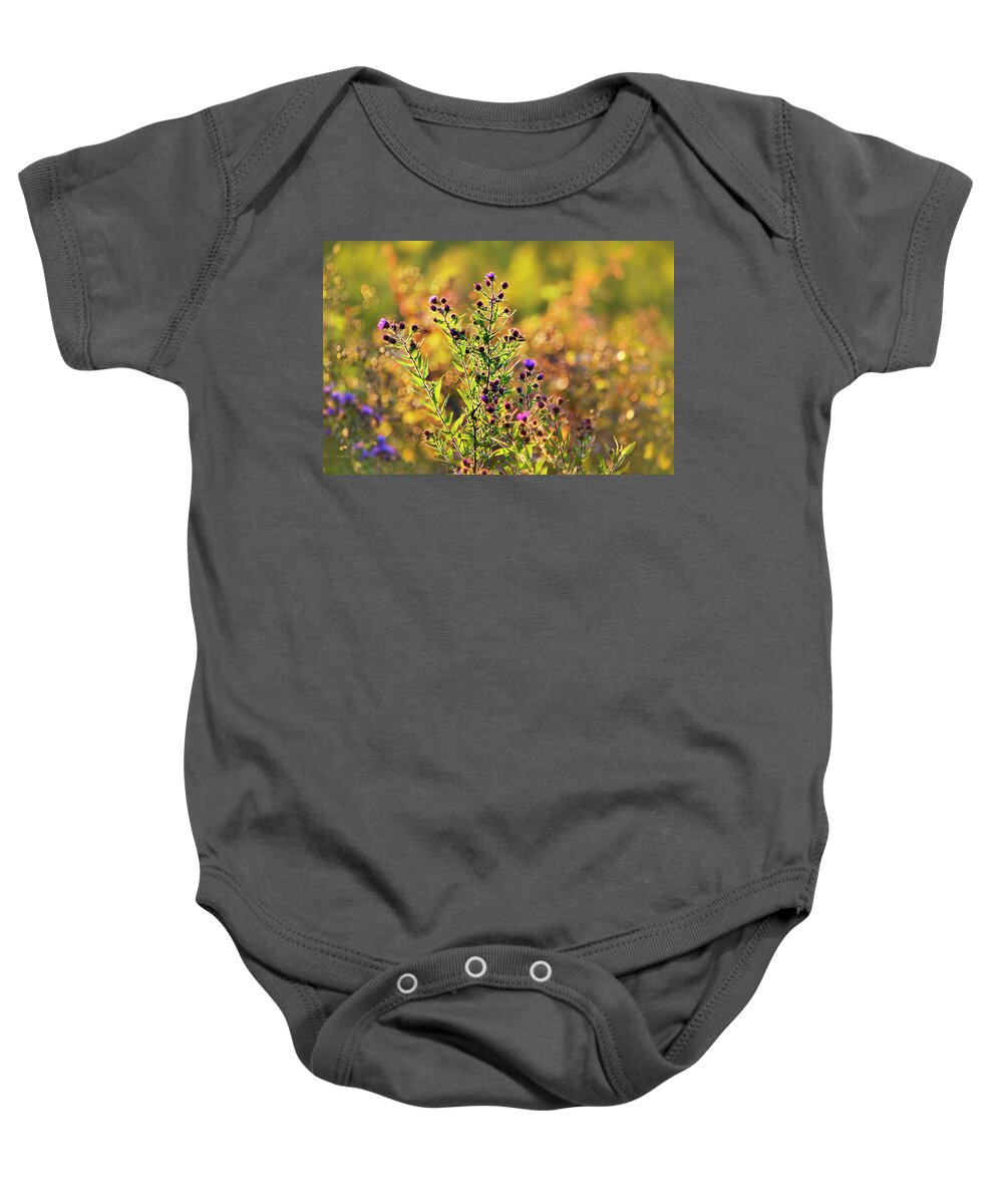 Flowers Baby Onesie featuring the photograph Purple Aster Flowers by Christina Rollo