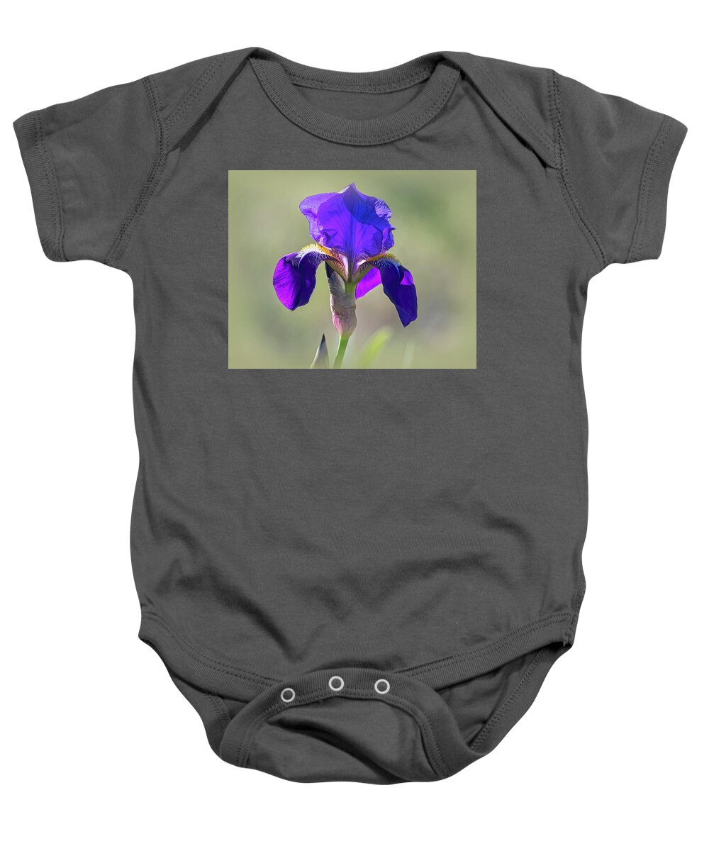 Purple Bearded Wild Iris Baby Onesie featuring the photograph Purple Bearded Wild Iris by Debra Martz