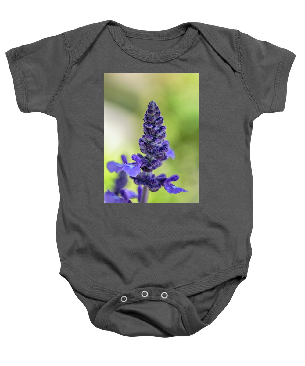 Flowers Baby Onesie featuring the photograph Purple by David Lee