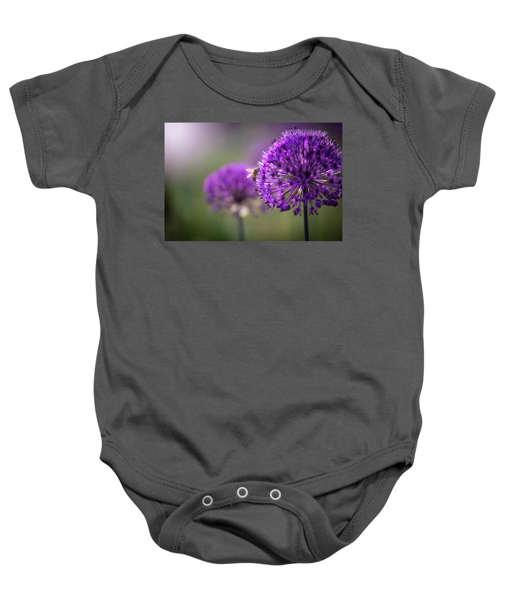  Baby Onesie featuring the photograph Purple Puff by Nicole Engstrom
