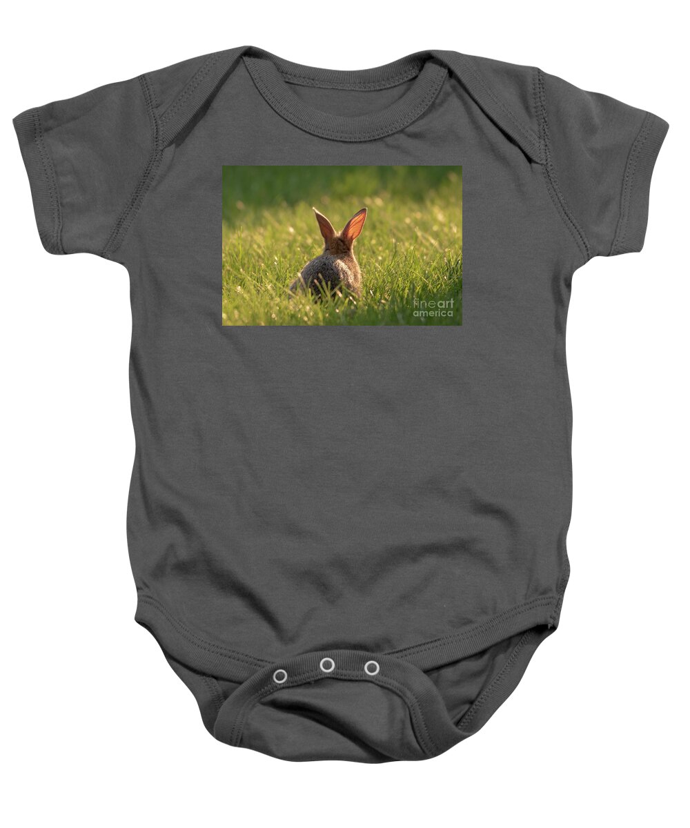 Rabbit Baby Onesie featuring the photograph Rabbit in the Sunshine by Lorraine Cosgrove