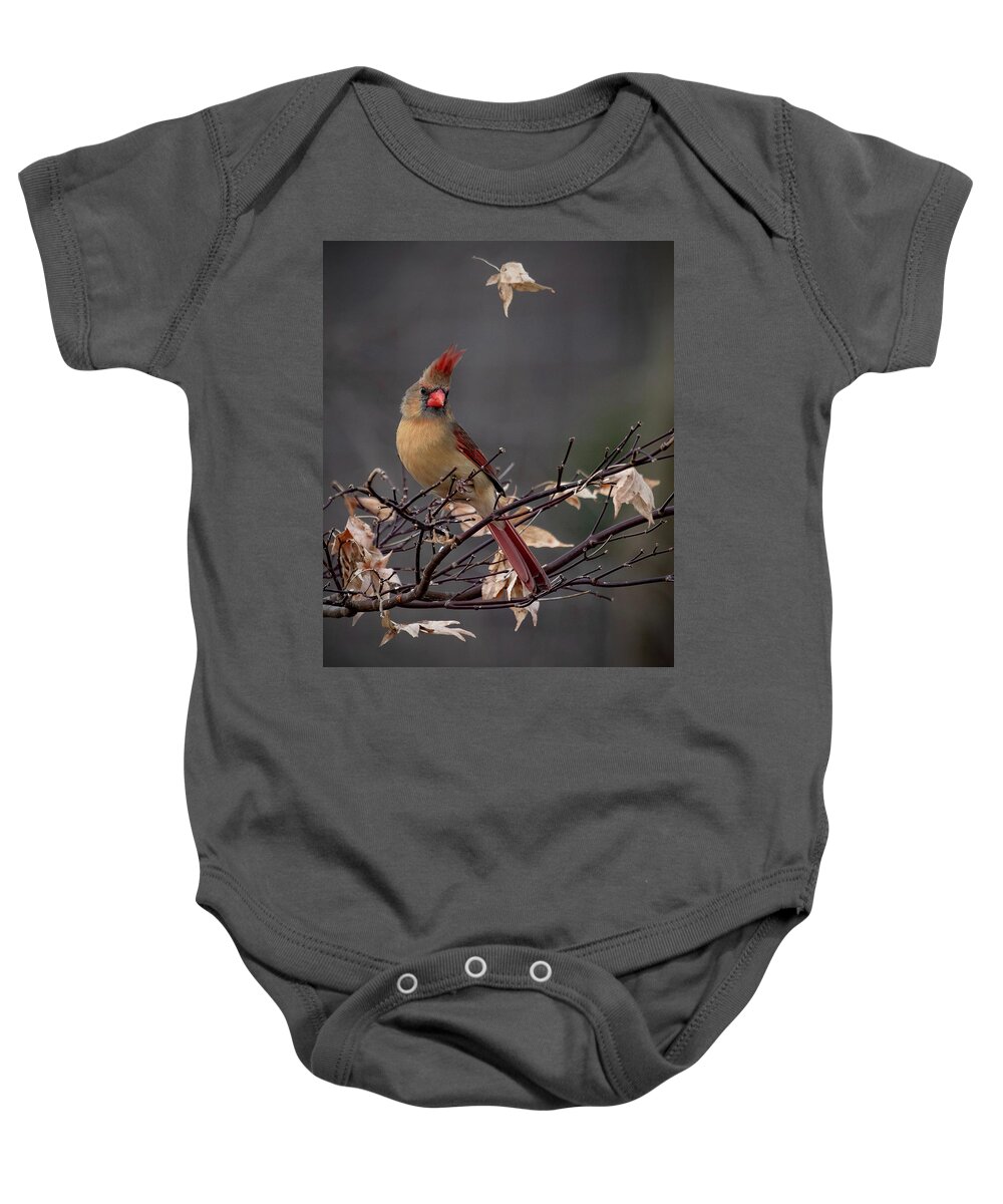 Cardinal Baby Onesie featuring the photograph Rainy Day Cardinal by Mindy Musick King