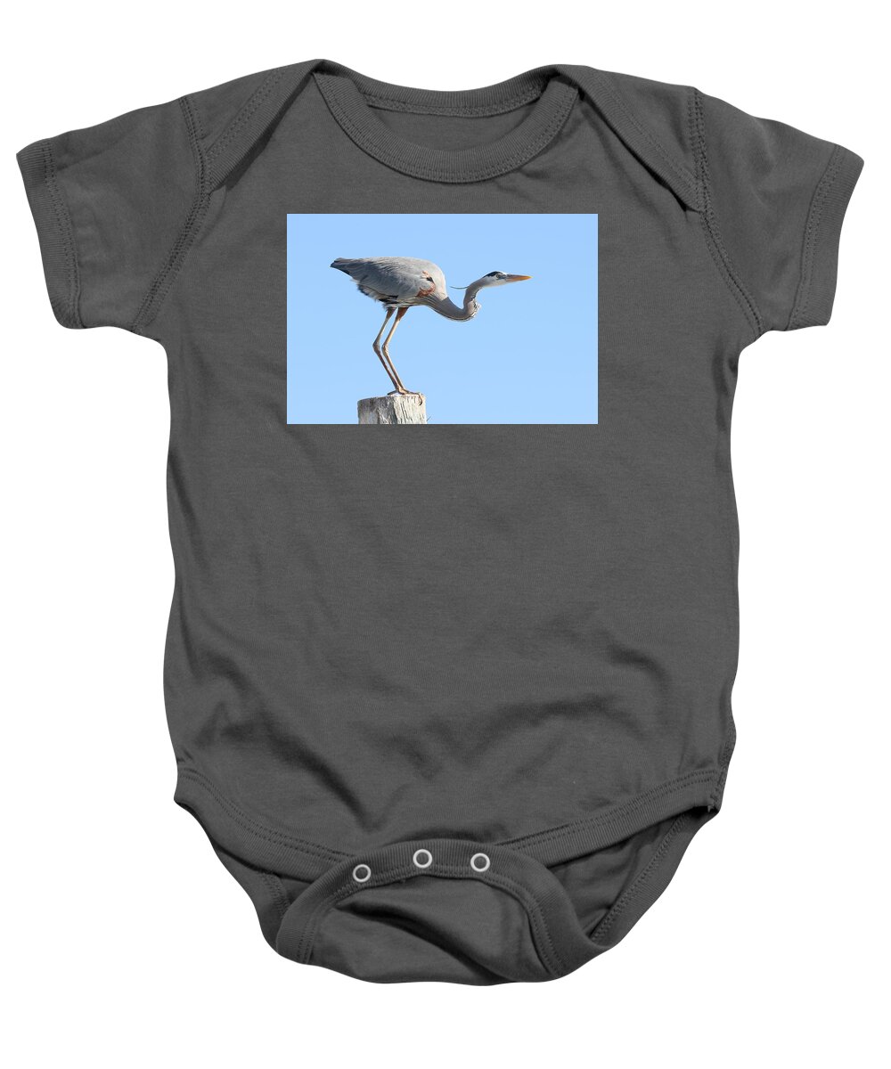 Great Blue Heron Baby Onesie featuring the photograph Ready to Take Off by Mingming Jiang