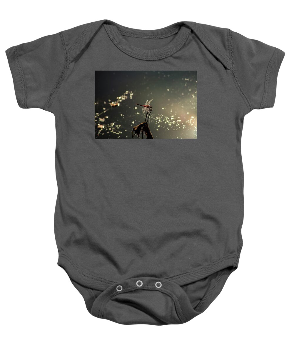 Insects Baby Onesie featuring the photograph Red Dragon by Marcus Jones