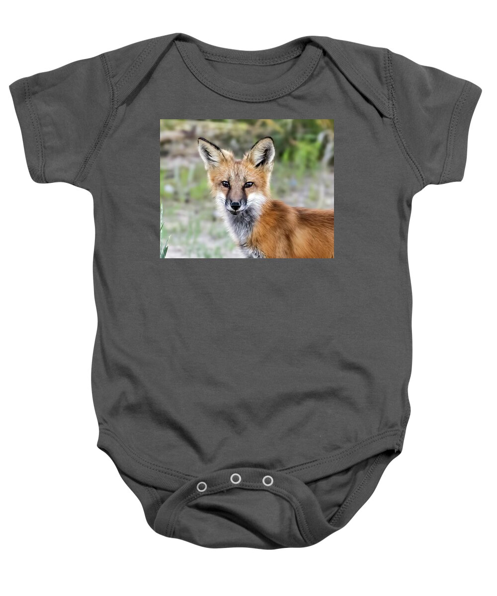 Red Fox Baby Onesie featuring the photograph Red Fox Portrait by Dawn Key