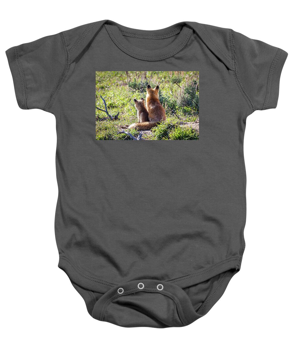 Fox Baby Onesie featuring the photograph Red Fox Vixen and Kit Enjoy the Sunrise by Tony Hake