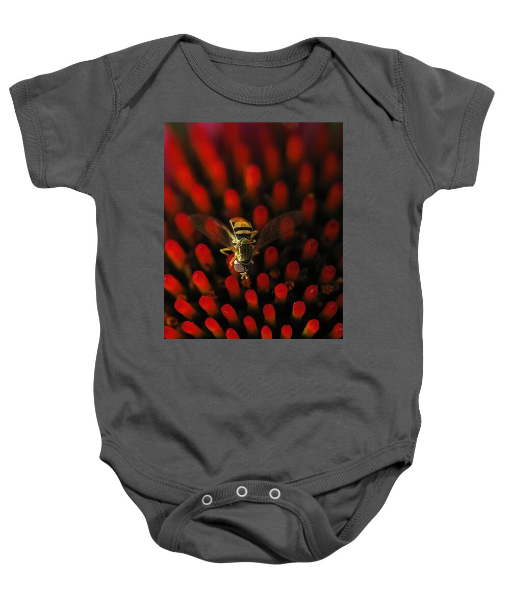 Hoverfly Baby Onesie featuring the photograph Red Hot Hover Fly by Lens Art Photography By Larry Trager