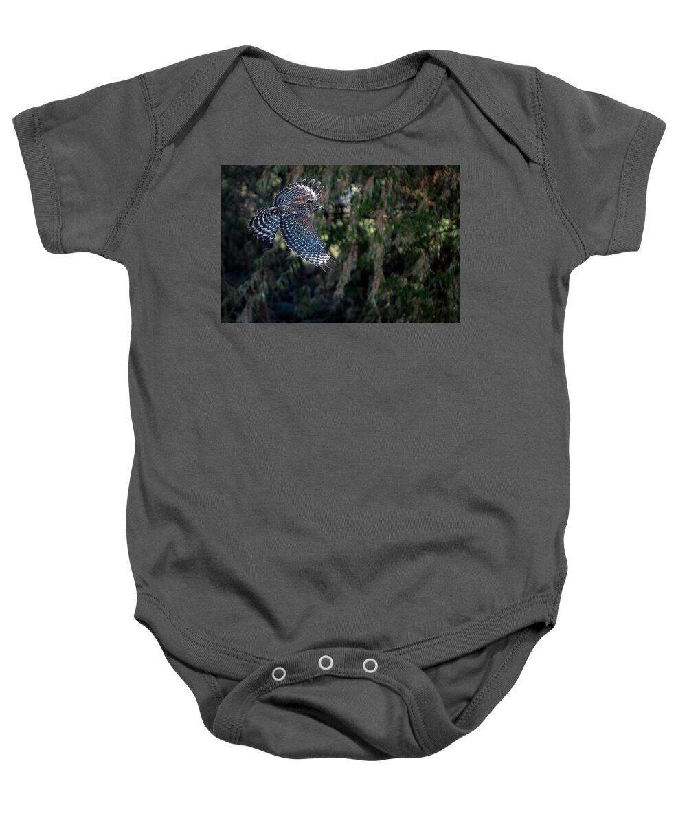 Red Shouldered Hawk Baby Onesie featuring the photograph Red Shouldered Hawk 2 by Rick Mosher