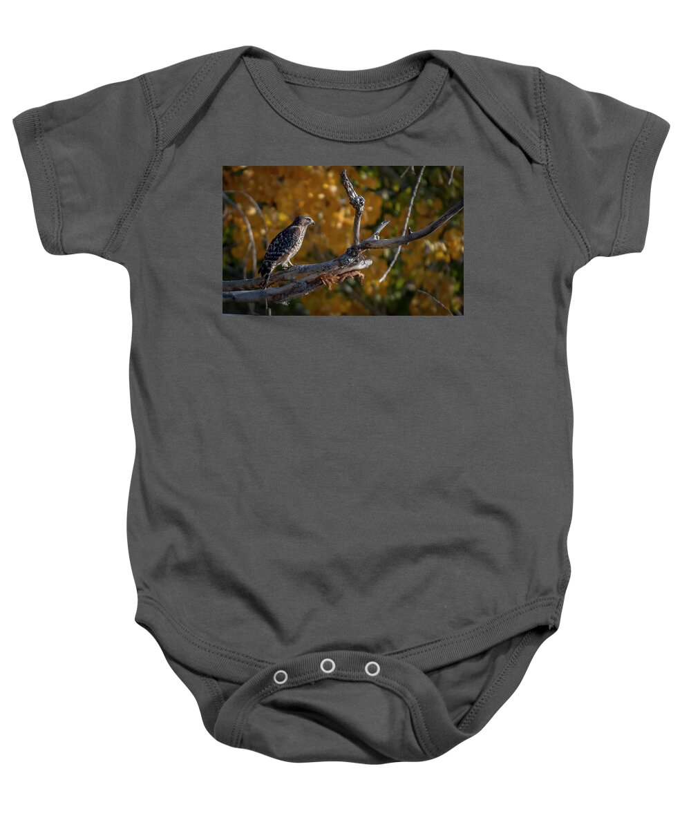 Red Shouldered Hawk Baby Onesie featuring the photograph Red Shouldered Hawk by Rick Mosher