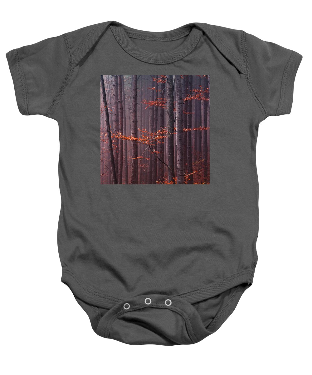 Mountain Baby Onesie featuring the photograph Red Wood by Evgeni Dinev