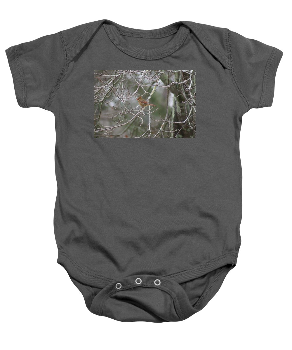  Baby Onesie featuring the photograph Redbird Female by Heather E Harman