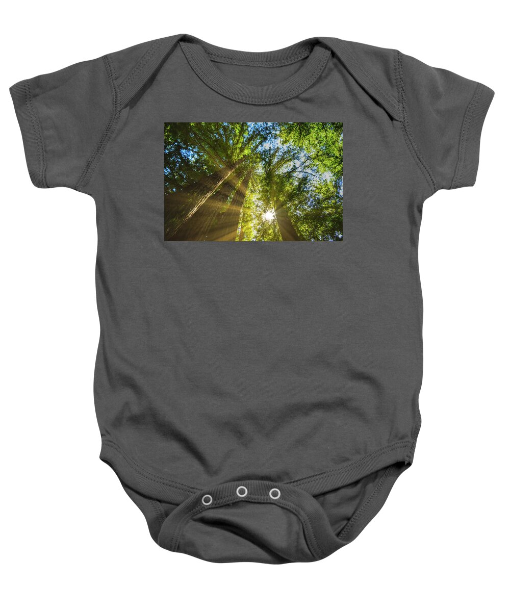 Redwood Forest Baby Onesie featuring the photograph Redwood Magic by Chance Kafka