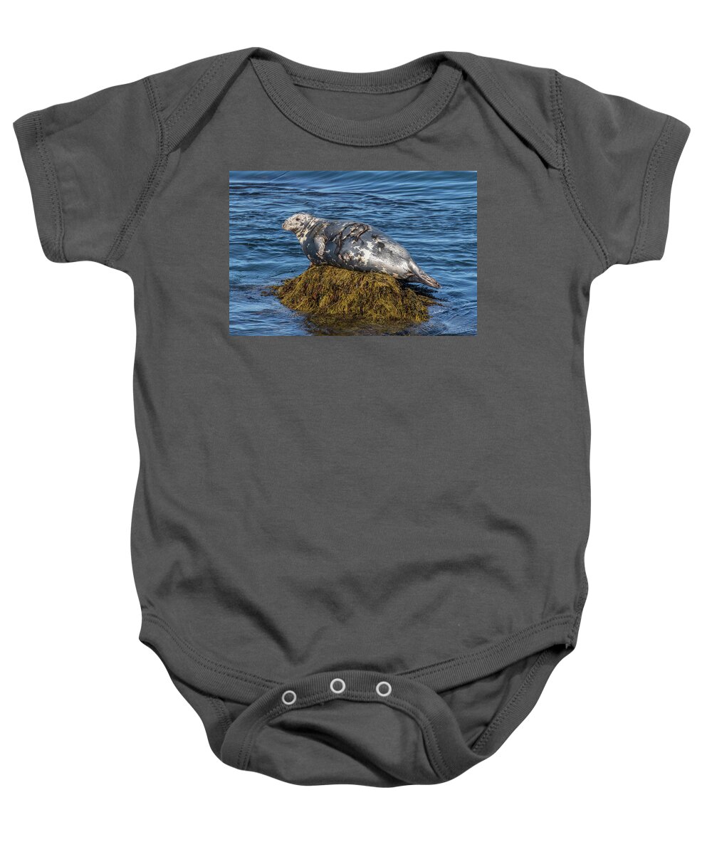 Grey Seal Baby Onesie featuring the photograph Resting Grey Seal by Jurgen Lorenzen