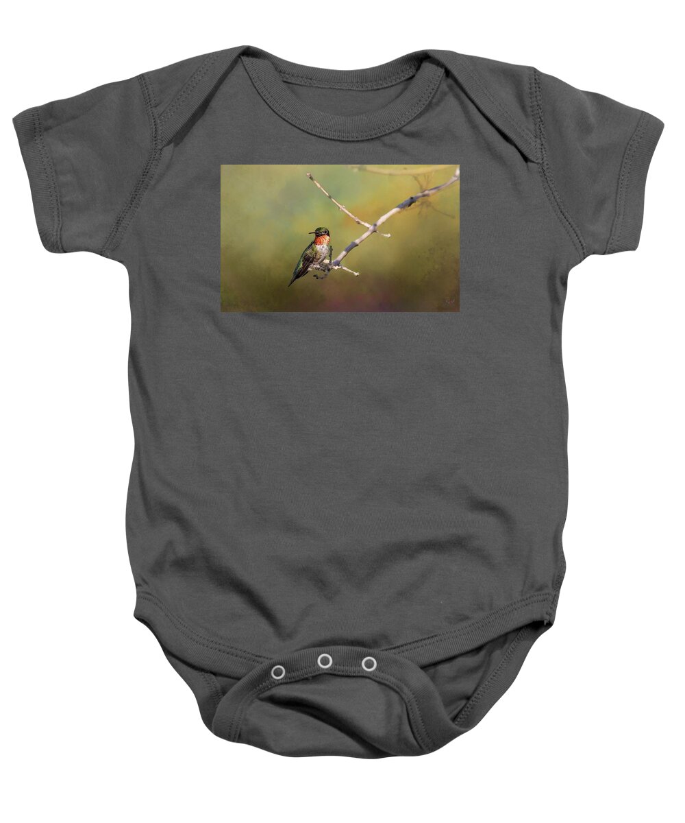Hummingbird Baby Onesie featuring the photograph Resting Hummingbird by Pam Rendall