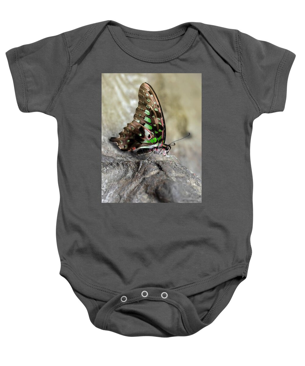 Insect Baby Onesie featuring the photograph Resting on the wooden piece by Jaroslaw Blaminsky