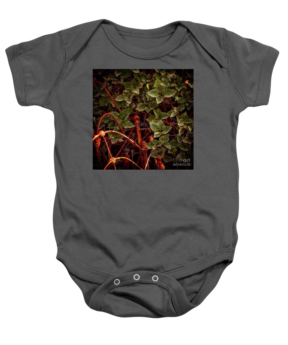 Canada Baby Onesie featuring the photograph Returning Home by RicharD Murphy