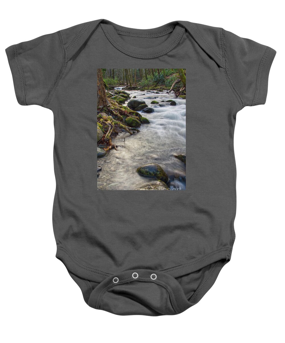  Baby Onesie featuring the photograph Roadside Creek 3 by Phil Perkins