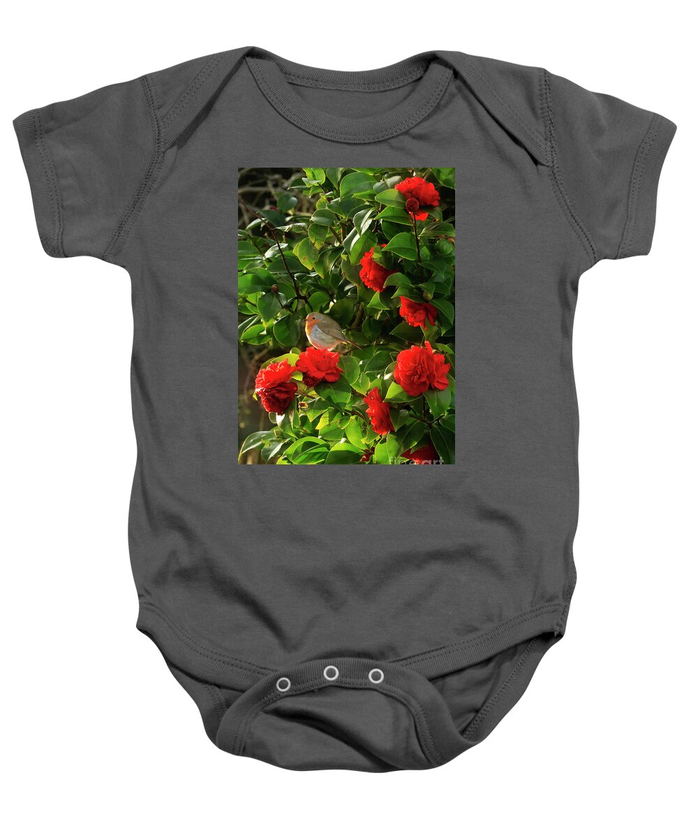 Robin Baby Onesie featuring the photograph Robin in the Camellia by Terri Waters