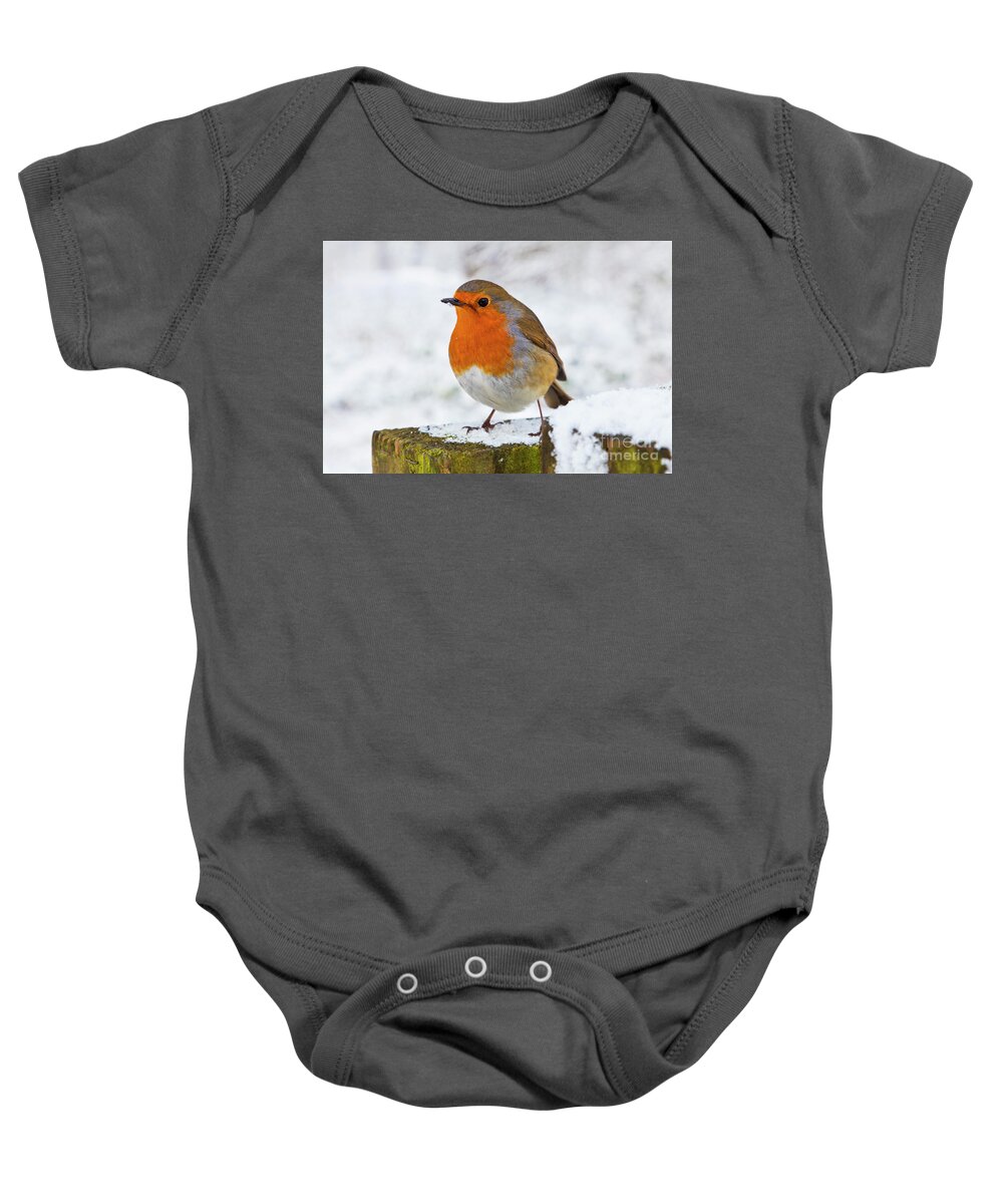 Erithacus Rubecula Baby Onesie featuring the photograph Robin redbreast in the snow, England by Neale And Judith Clark