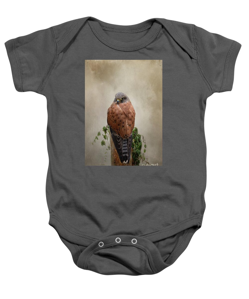 Rock Kestrel Baby Onesie featuring the photograph Rock Kestrel by Eva Lechner