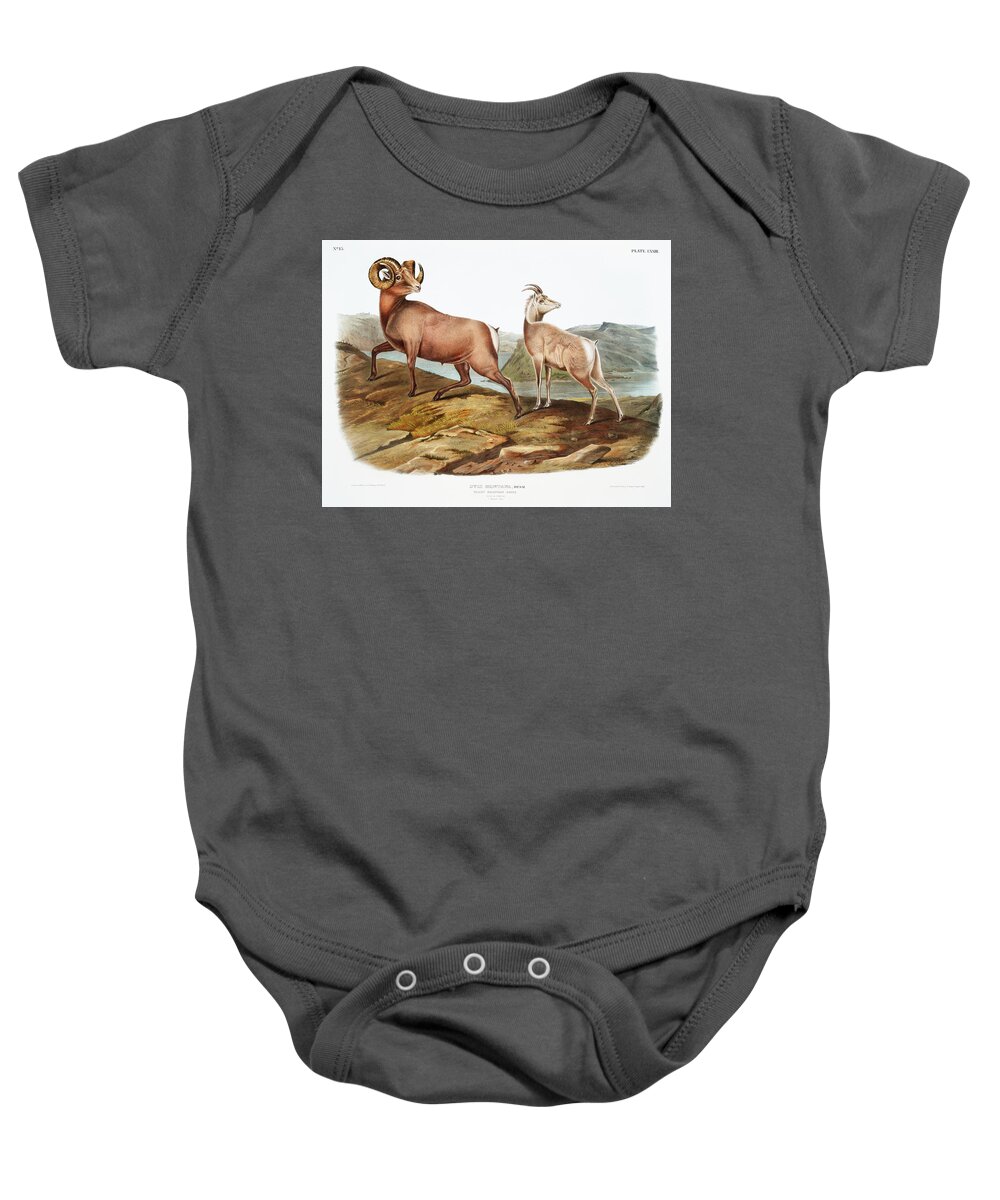 America Baby Onesie featuring the mixed media Rocky Mountain Sheep. John Woodhouse Audubon by World Art Collective