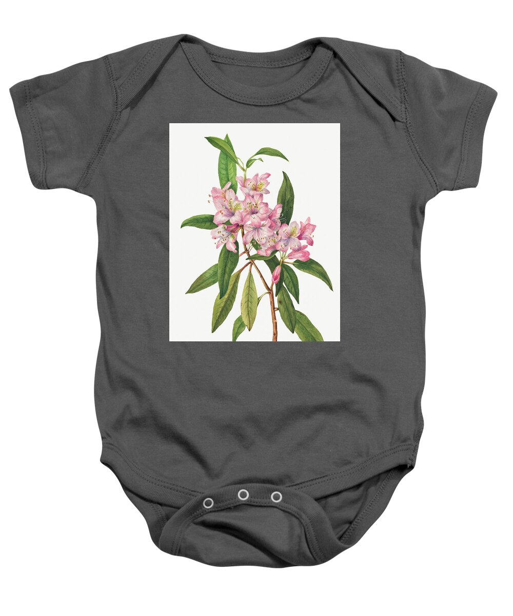 Rose Bay Rhododendron Baby Onesie featuring the painting Rose Bay Rhododendron by Mary Vaux Walcott. by World Art Collective