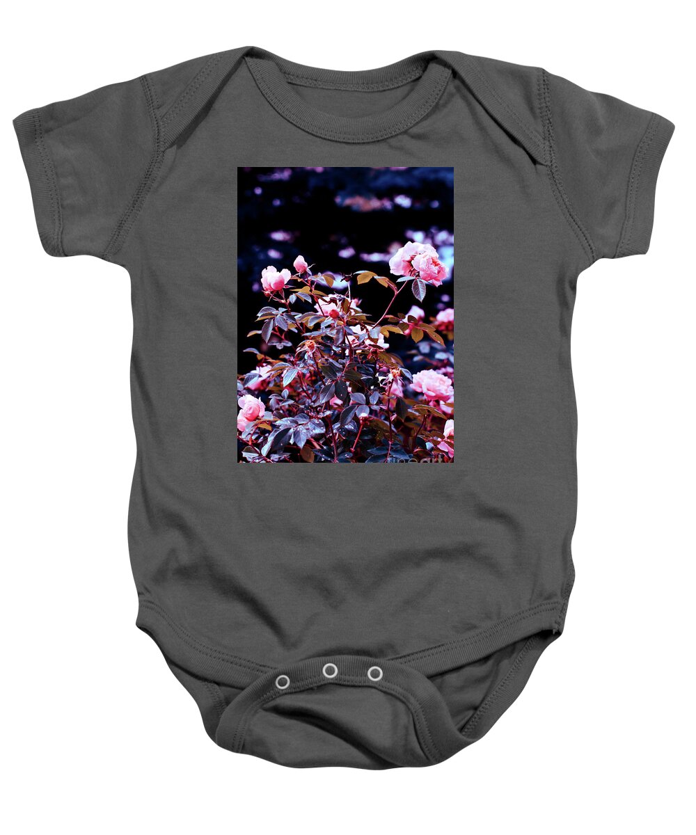 Rose Baby Onesie featuring the photograph Rose with Filter V3 by Donna L Munro