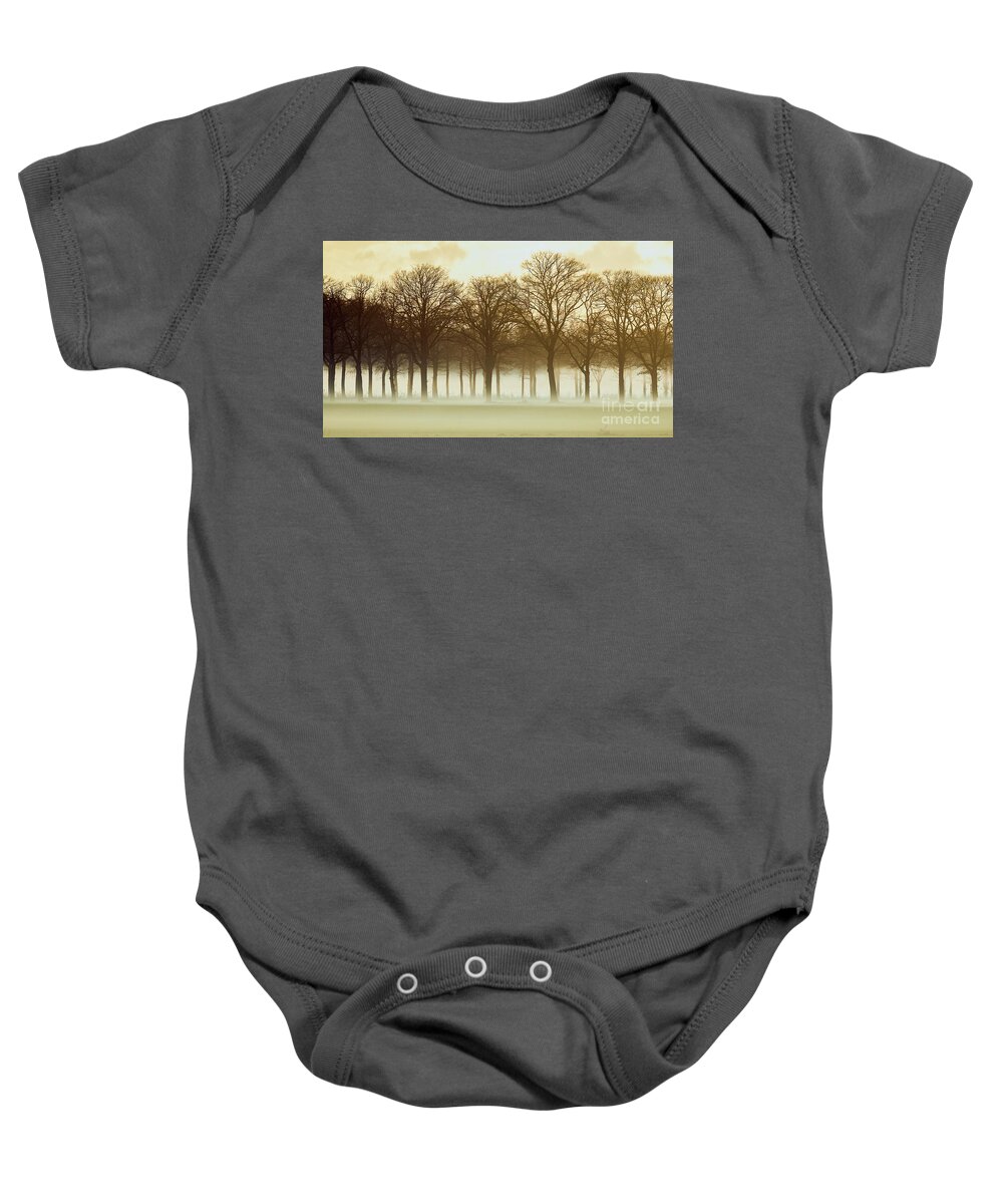 Row Trees Baby Onesie featuring the photograph Row trees in a low-hanging mist by Nick Biemans