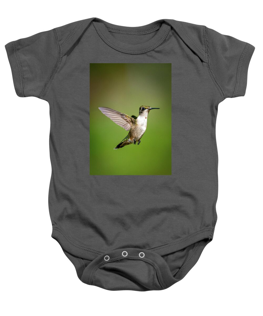 Birds Baby Onesie featuring the photograph Ruby-Throated Hummingbird by Robert J Wagner