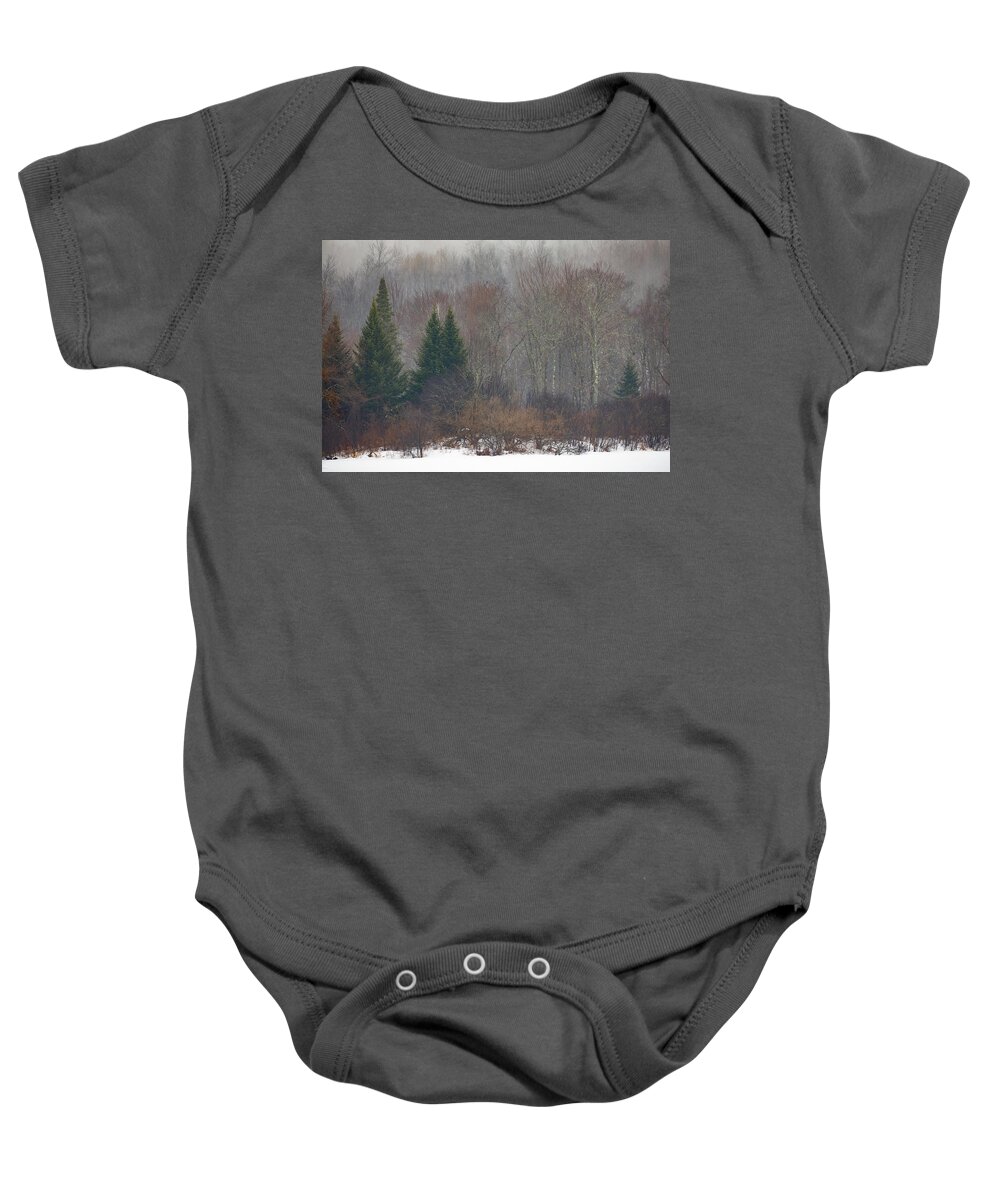 Franconia Baby Onesie featuring the photograph Scenic Winter Trees in the Fog by Denise Kopko