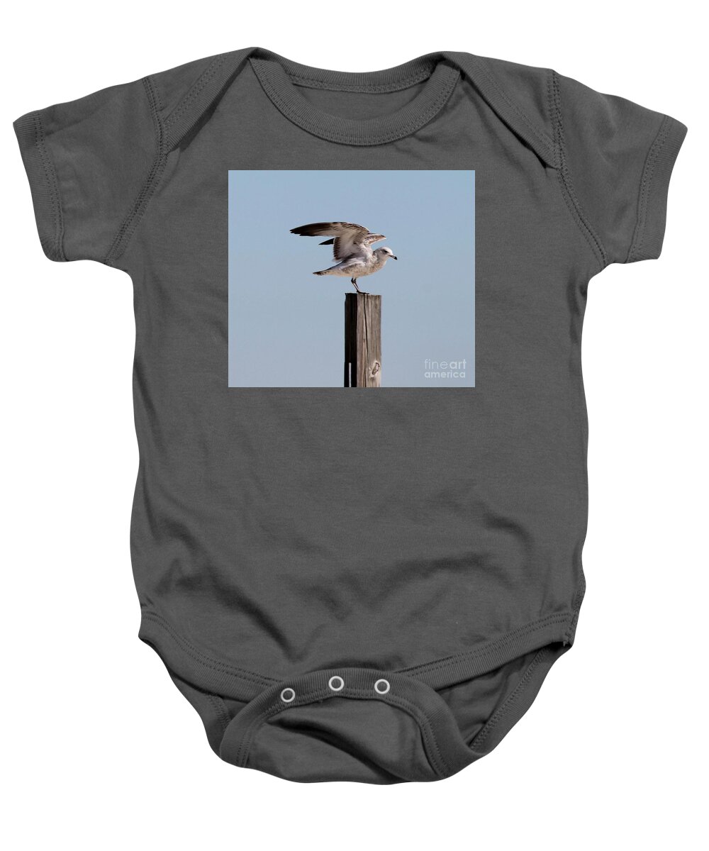 Seagull Baby Onesie featuring the photograph Seagull on Post by Catherine Wilson