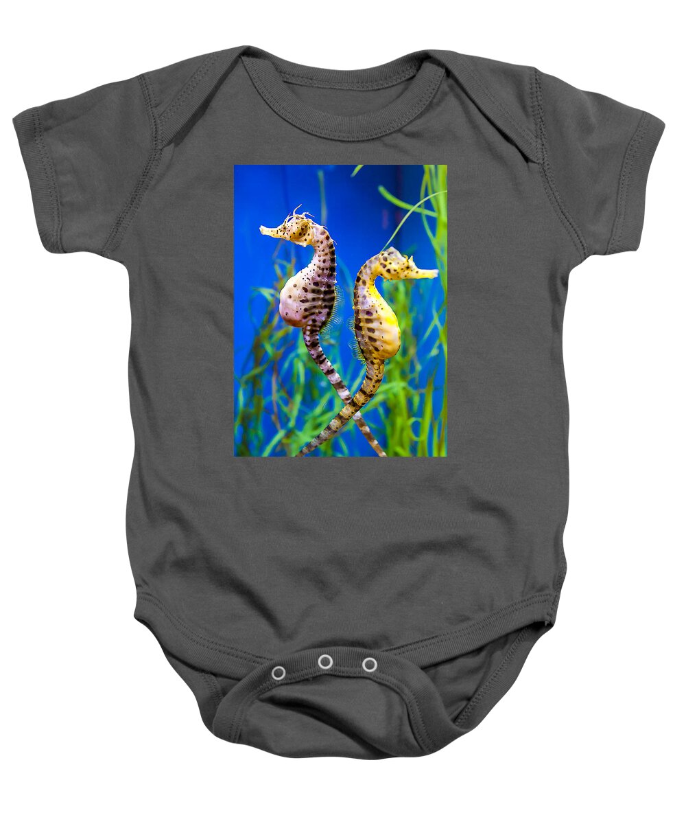 Seahorse Baby Onesie featuring the photograph Seahorse Argument by Fred J Lord