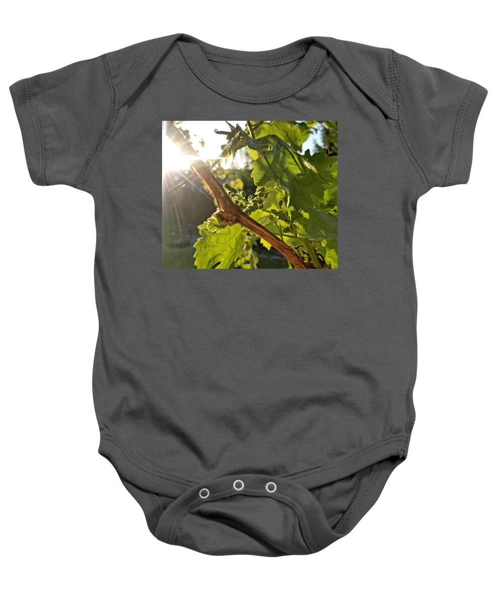Grape Baby Onesie featuring the photograph Seen It Through The Grape Vine by Brent Knippel