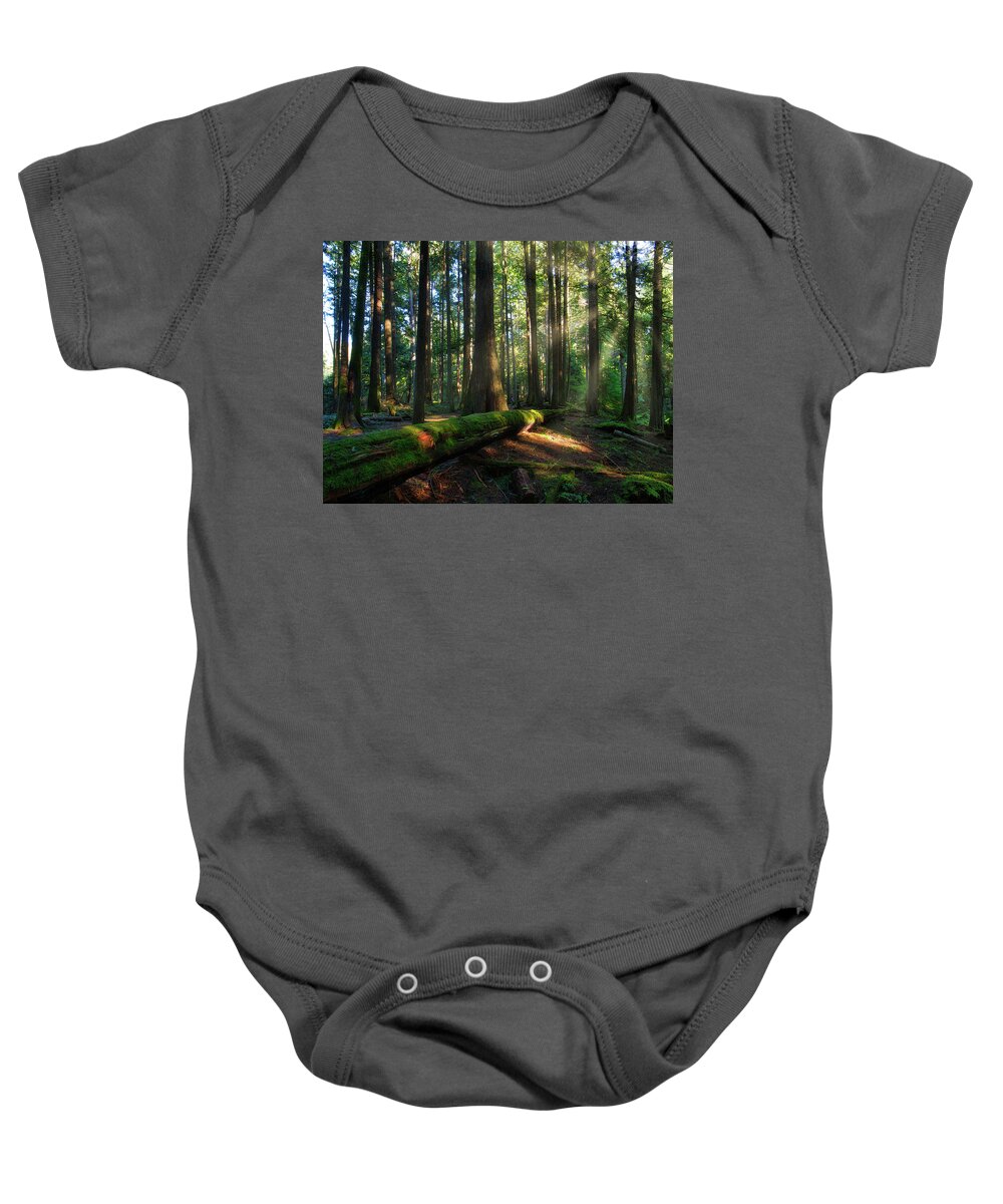 Landscape Baby Onesie featuring the photograph Shining on Me by Allan Van Gasbeck