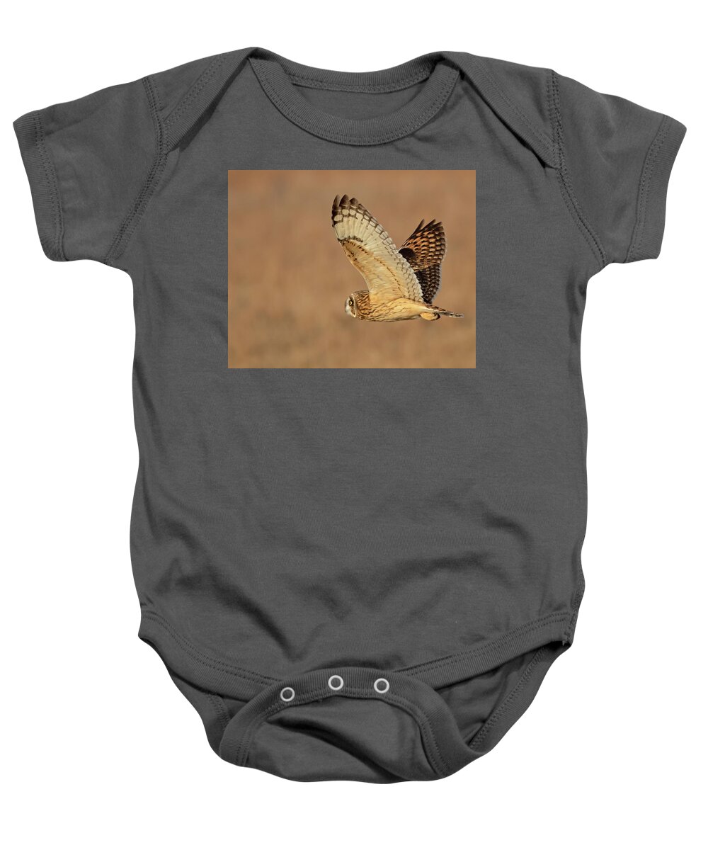 Owl Baby Onesie featuring the photograph Short-eared Owl on the Tallgrass Prairie #2 by Mindy Musick King