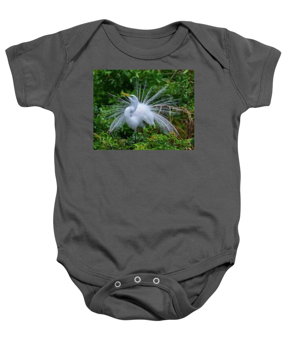 Great Baby Onesie featuring the photograph Show Off by Pamela McDaniel