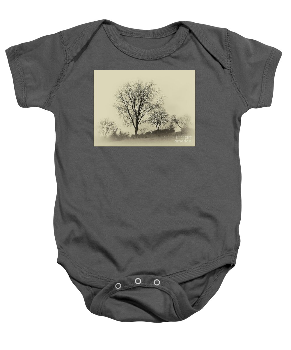 Lovely Baby Onesie featuring the photograph Silence Winter Landscape by Eva-Maria Di Bella