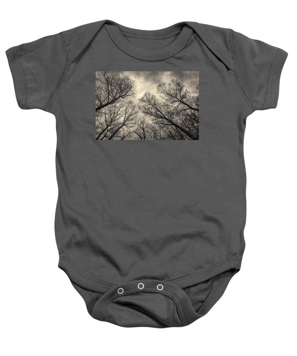 Abstract Baby Onesie featuring the photograph Silhouetted Trees V Toned by David Gordon