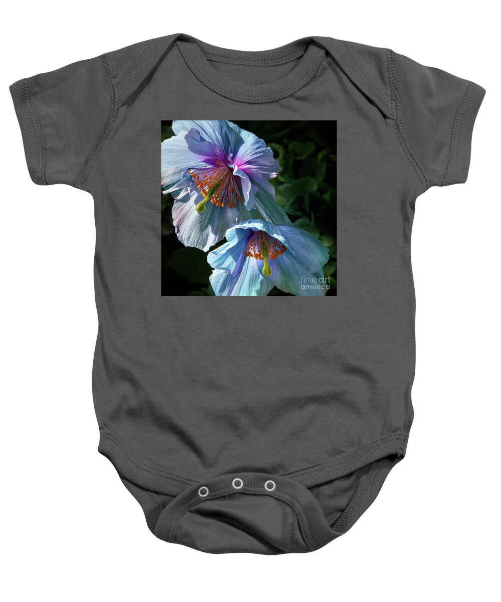 Conservatories Baby Onesie featuring the photograph Silk Poppies by Marilyn Cornwell