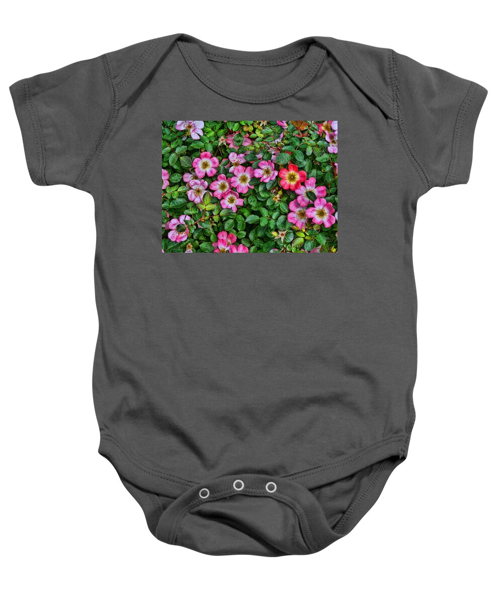 Simply Sally Baby Onesie featuring the photograph Simply Sally Minature Rose Bush by Allen Beatty