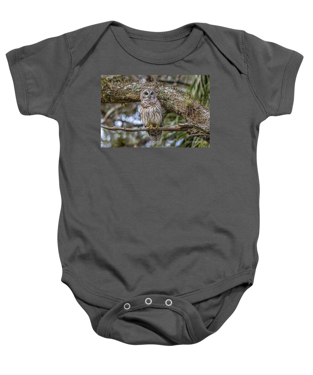 Owl Baby Onesie featuring the photograph Small Branch Perch by Tom Claud