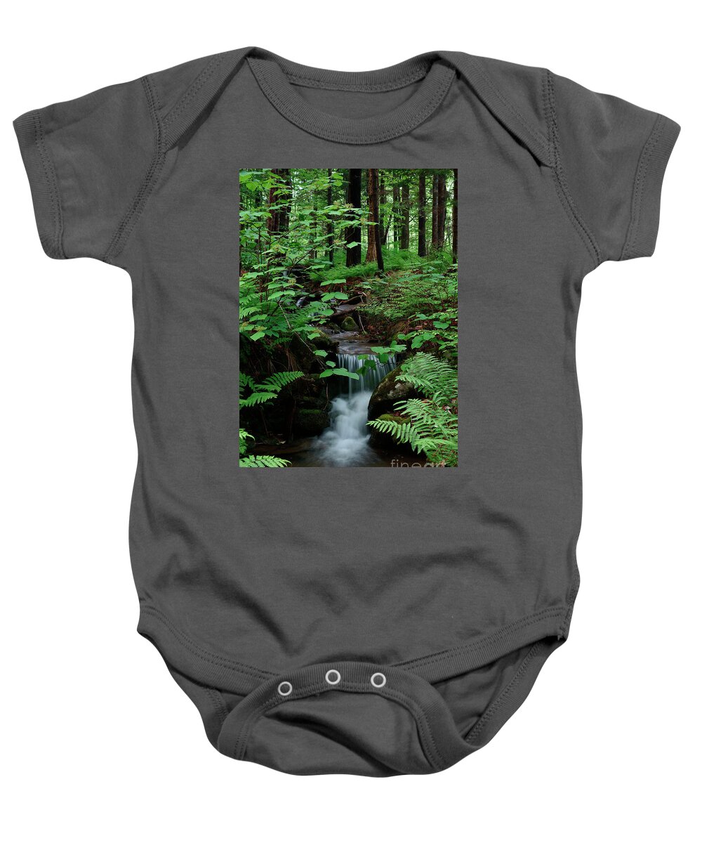 Spring Baby Onesie featuring the photograph Small stream and ferns by Kevin Shields